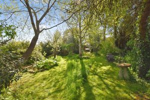 Photo 12- click for photo gallery